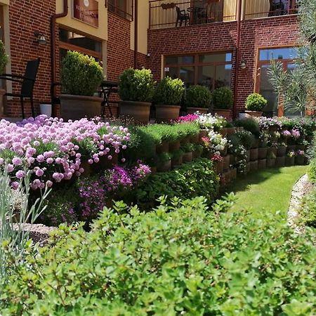 Jolan Pension & Restaurant Cicov 外观 照片