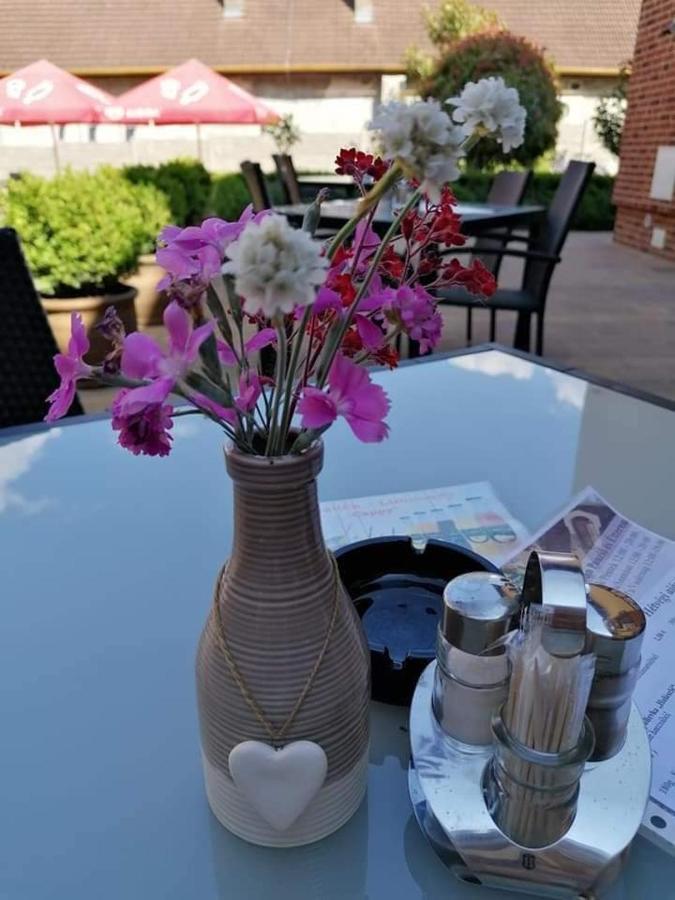 Jolan Pension & Restaurant Cicov 外观 照片