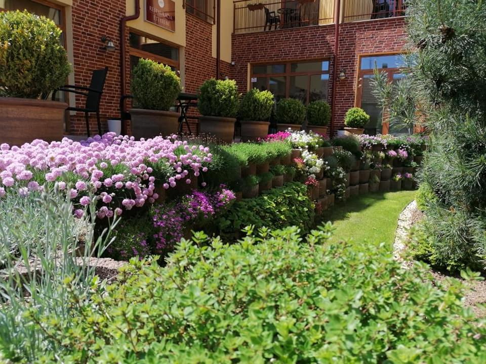 Jolan Pension & Restaurant Cicov 外观 照片