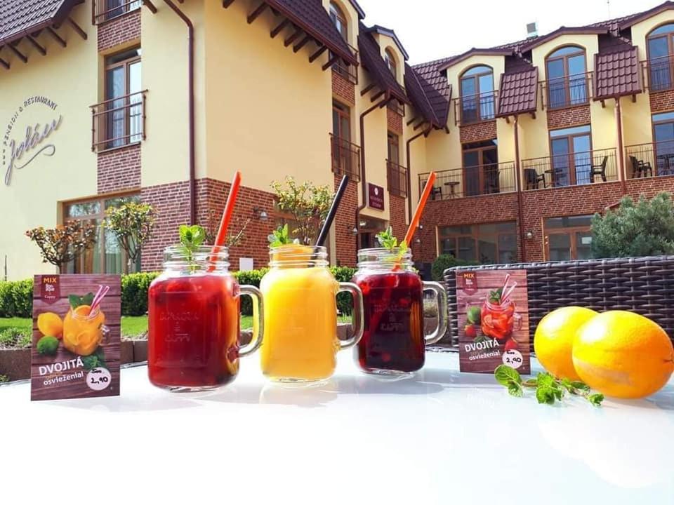 Jolan Pension & Restaurant Cicov 外观 照片